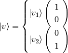 \ket{v} = \begin{cases}
    \ket{v_1}\left(\begin{array}{c}1\\0\\\end{array}\right) \cr
    \ket{v_2}\left(\begin{array}{c}0\\1\\\end{array}\right) \cr
    \end{cases}
